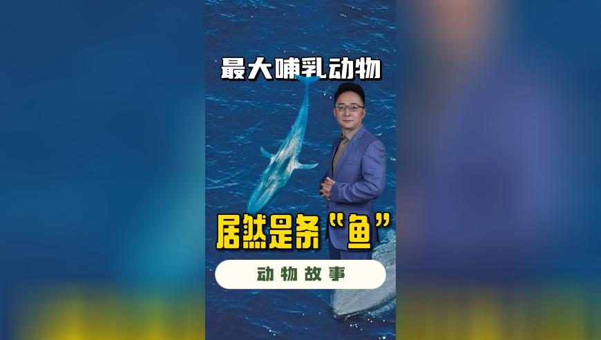 777888管家婆开奖结果,孩子出门自带社牛属性,最新热门解答落实_公测版V5.25