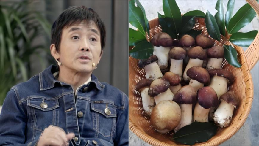 中国新型消费加速下乡,马会传真澳门资料大全,经典解释落实_粉丝版V4.90