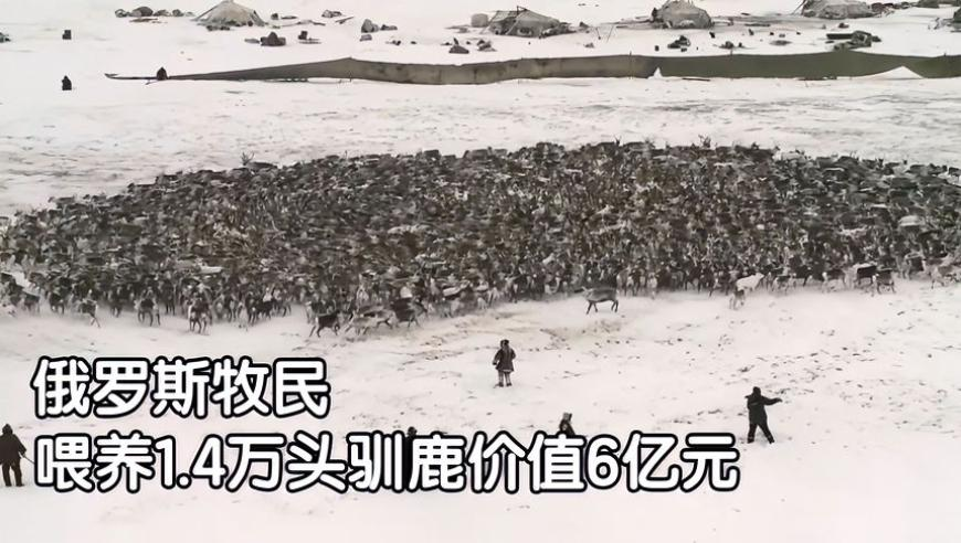 新澳历史开奖最新结果查询今天开什么,美联储理事称急需监管稳定币,广泛的解释落实支持计划_体验版V6.11