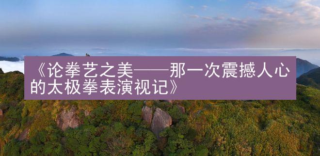 《论拳艺之美——那一次震撼人心的太极拳表演视记》